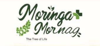moringa